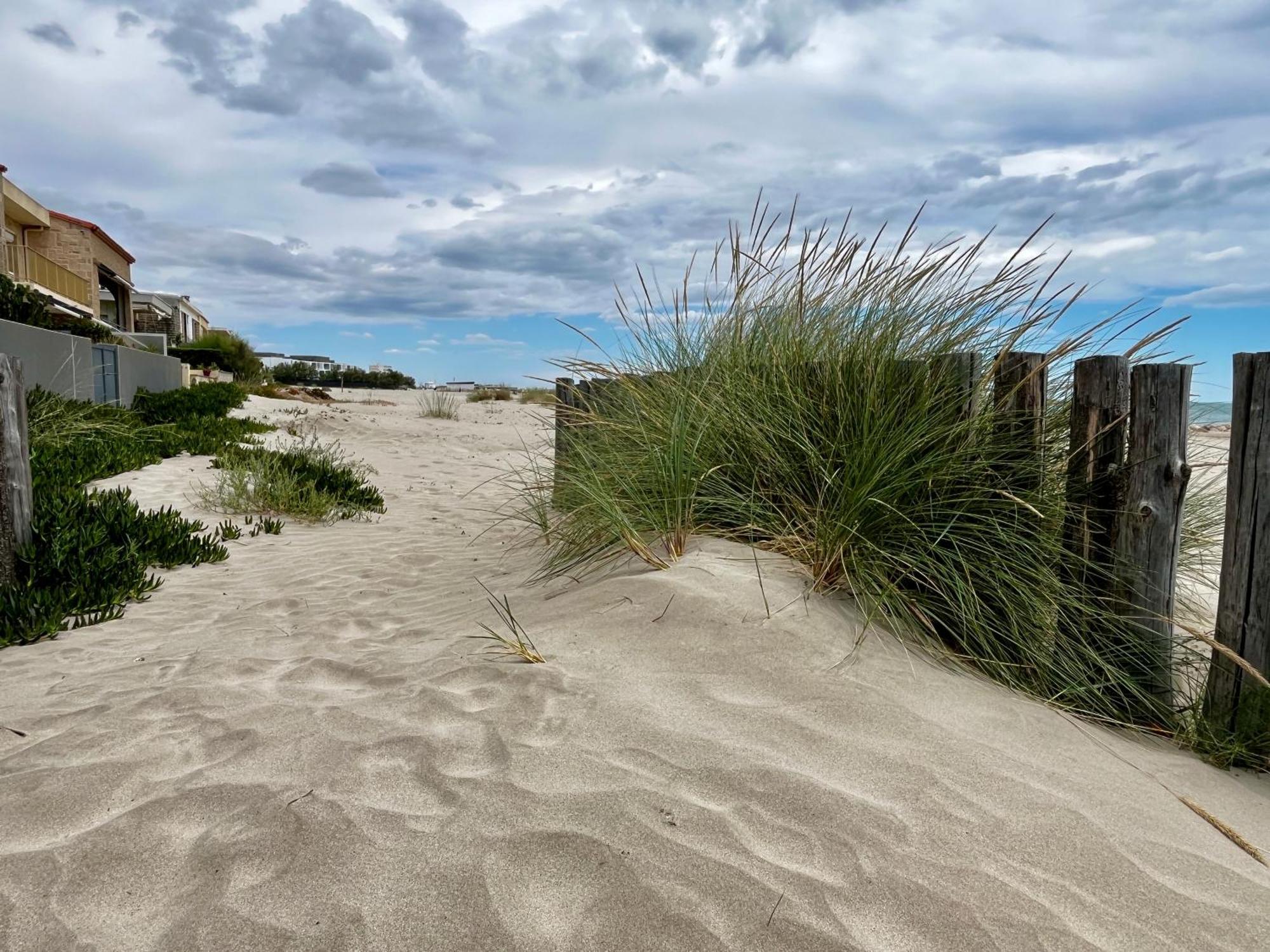 Les Sables De Palavas - T2 A 50M De La Plage - Clim, Wifi Экстерьер фото